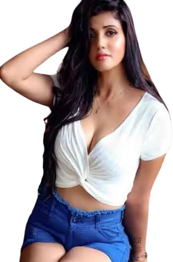 Udaipur Call Girls